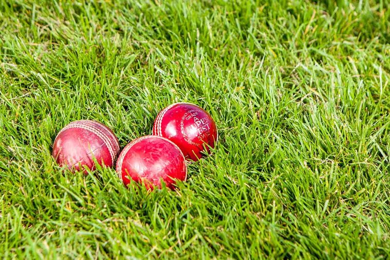 South Devon CC tweet media