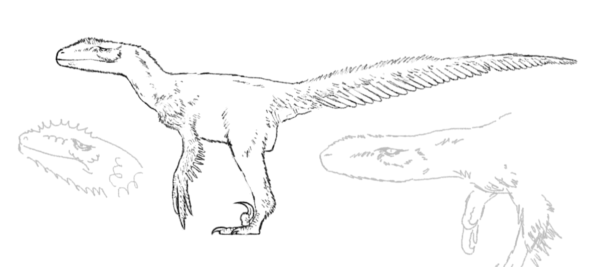 weird random bullshit deinonychus i drew instead of doing business class homework (arguably a better use of my time)