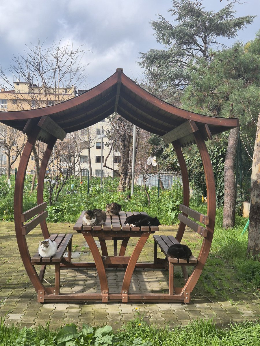 Garima Chhikara tweet media