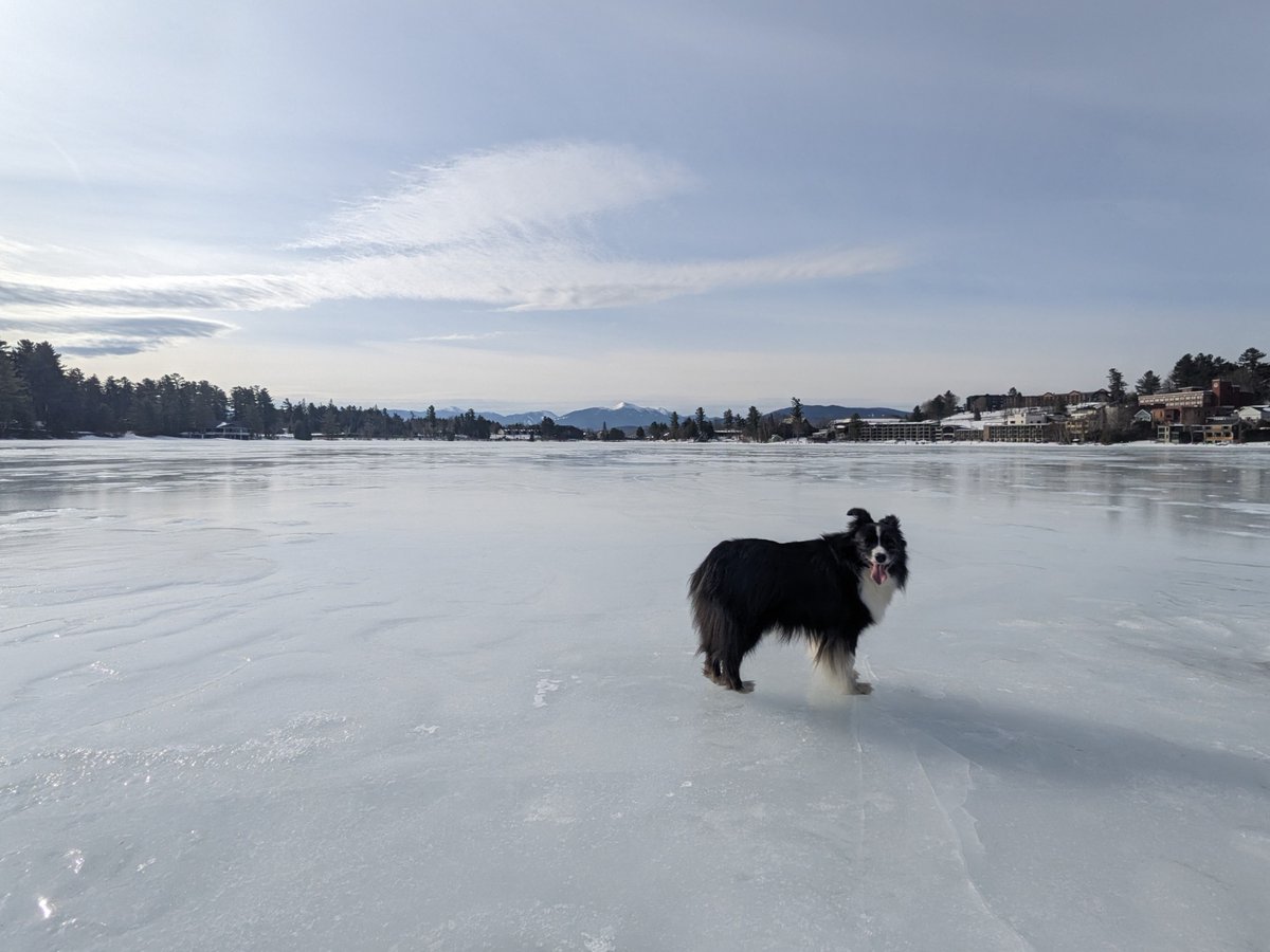 Ausable Freshwater Center tweet media