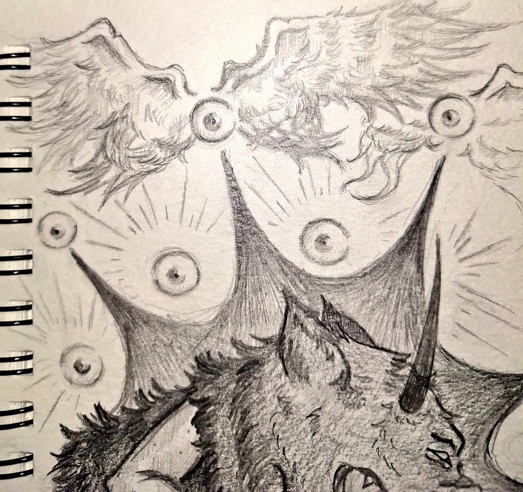 lLuce 🦐 tweet media