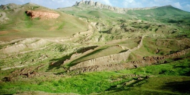 Javier Prunera tweet media