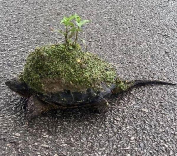 hey man how's it growing I mean goin- GOD IM SO FUCKING SORRY IM SORRY IM SORRY IM SORRY IM SORRY IM SORRY IM SORRY IM SORRY IM SORRY IM SORRY IM SORRY IM SORRY IM SORRRYYY....