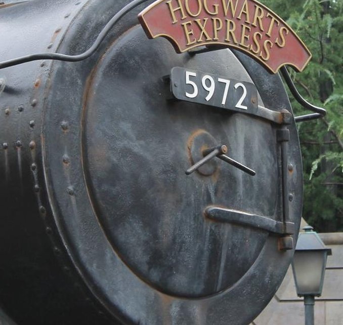 Macqueid's tweet image. セミの声が夏を感じさせる 🌜