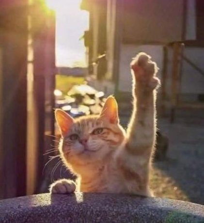 OffABeatenPath's tweet image. 2月の服 🦇