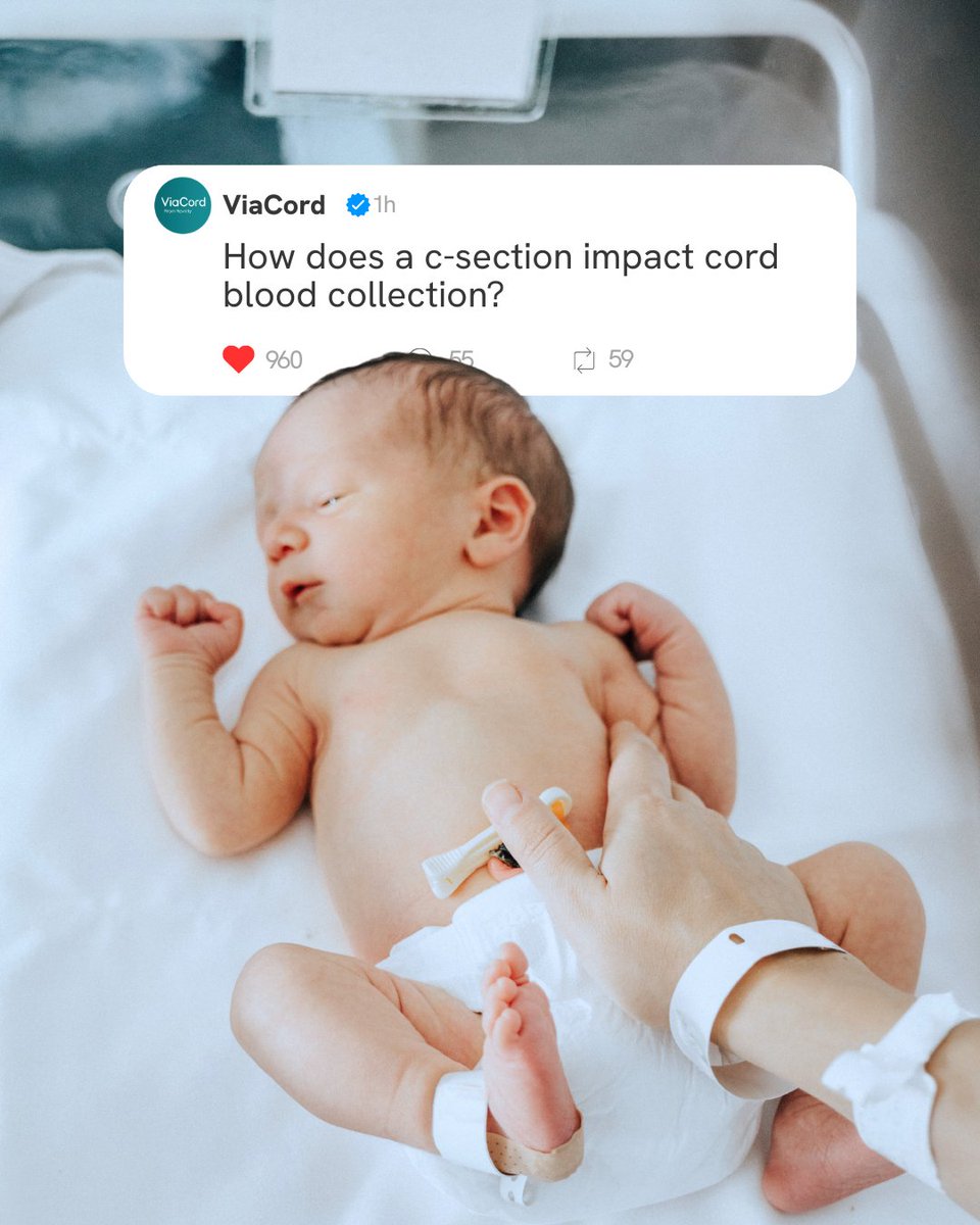 ViaCord's tweet photo. No matter how your birth story unfolds, ViaCord’s cord blood collection process remains simple. With FDA-approved collection bags that come pre-loaded for sterile C-sections, we’ve taken care of the details so you can focus on what truly matters: meeting your baby! https://t.co/47eKVSBxdX