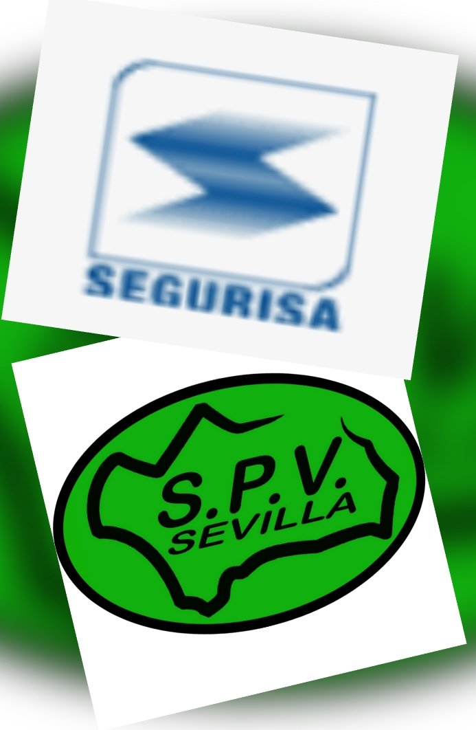 SPVSevilla's tweet photo. Felicitamos a nuestro delegado sindical en #SEGURISA, Juan Teodoro González, por haber logrado en las #EleccionesSindicales celebradas hoy en su empresa, uno de los cinco puestos que conformarán el nuevo
#ComitéDeEmpresa.  ¡Enhorabuena, compañero! En el #SPV seguimos creciendo. https://t.co/bO3g5eWclv