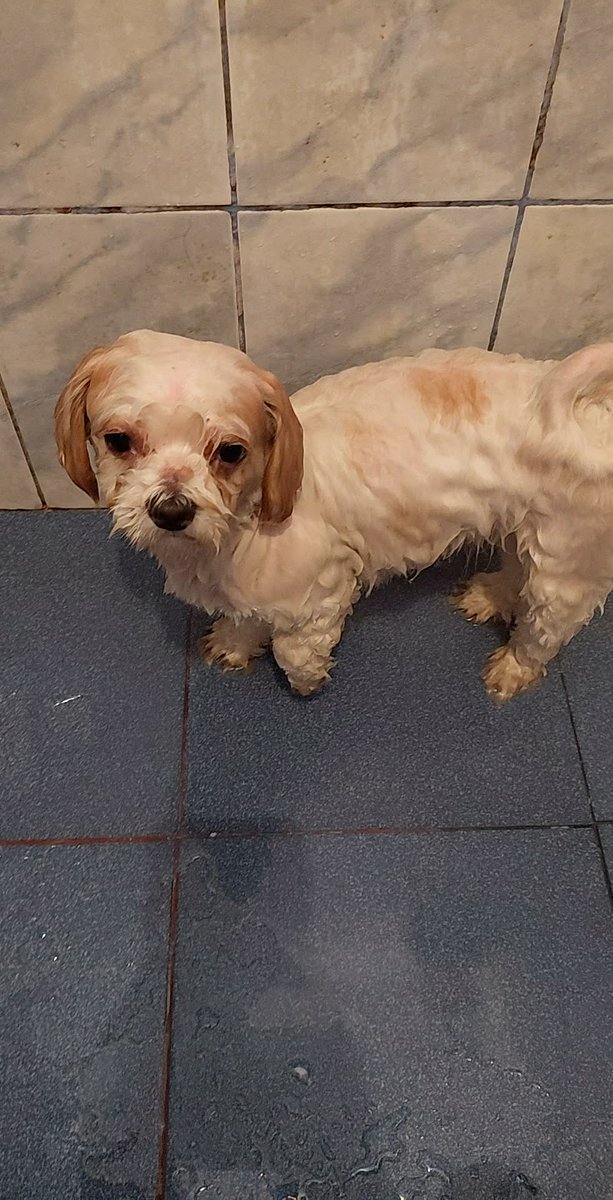 Juan el pajas 🔞 tweet media