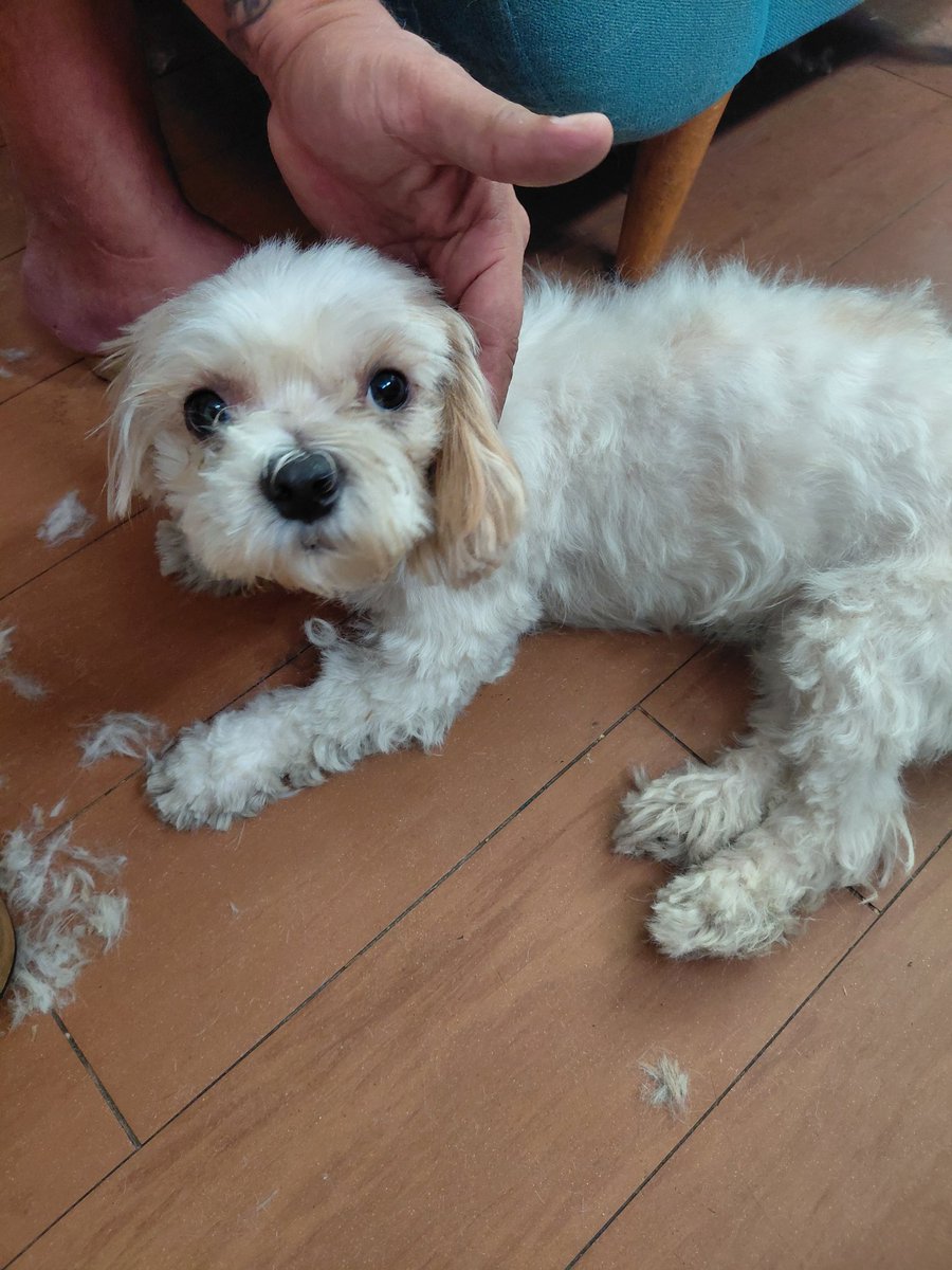 Juan el pajas 🔞 tweet media