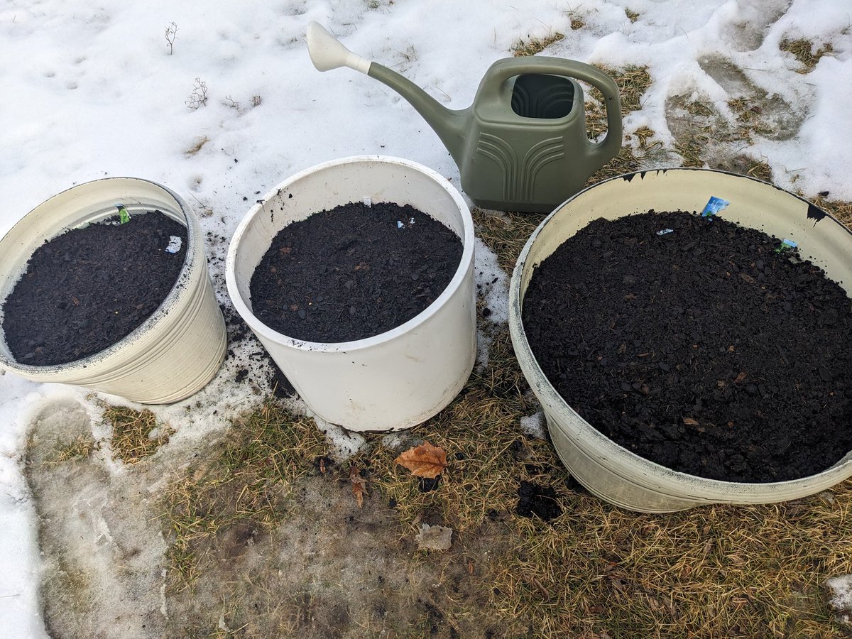 Dale Bowman tweet media