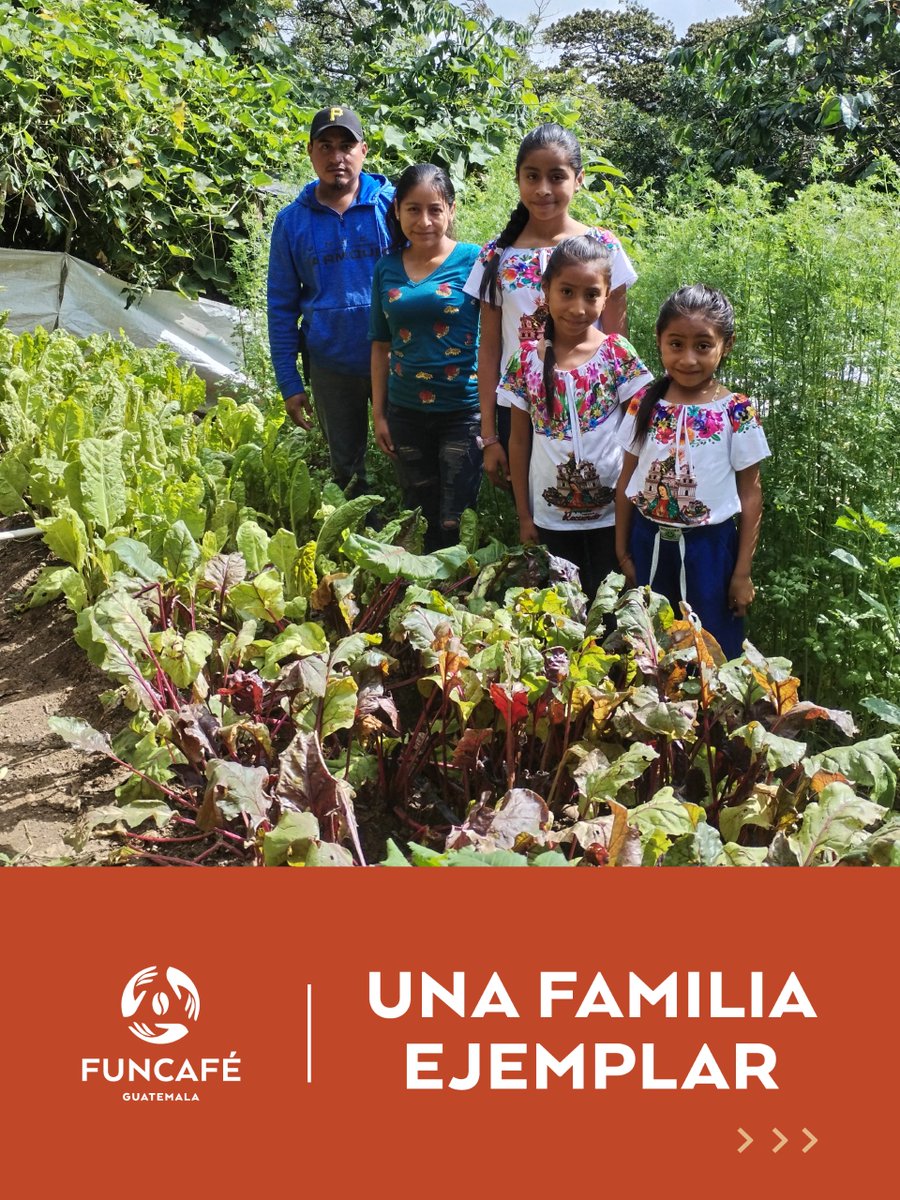 FuncafeGuatemala tweet media
