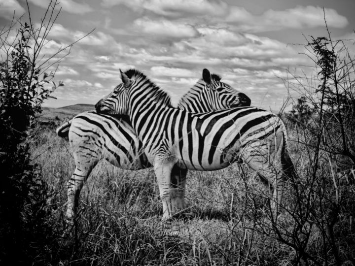 Hon. Min. of hot wings 👱🍗🍗 tweet media