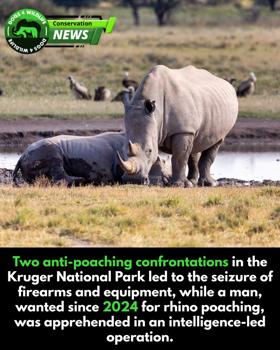 Dogs4Wildlife tweet media