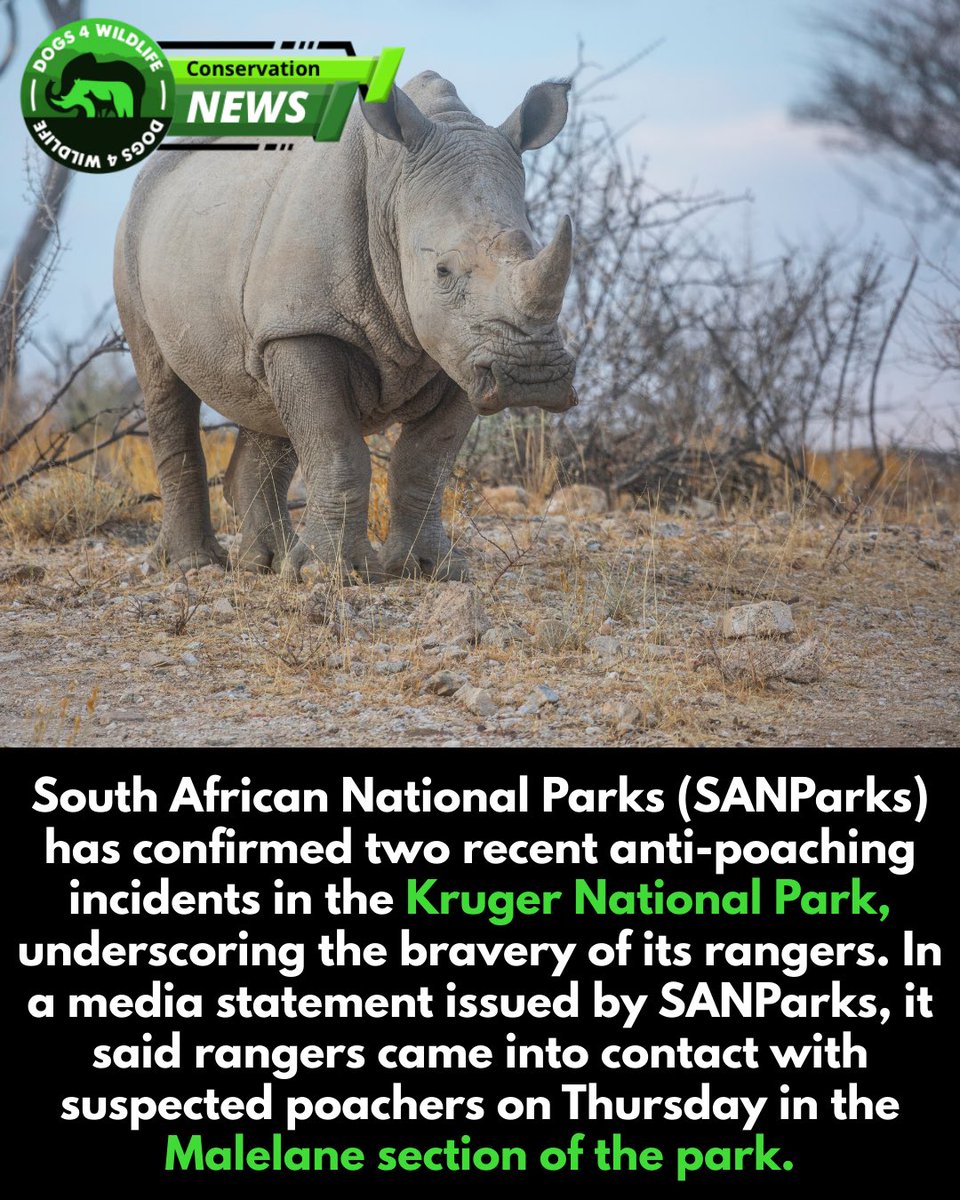 Dogs4Wildlife tweet media