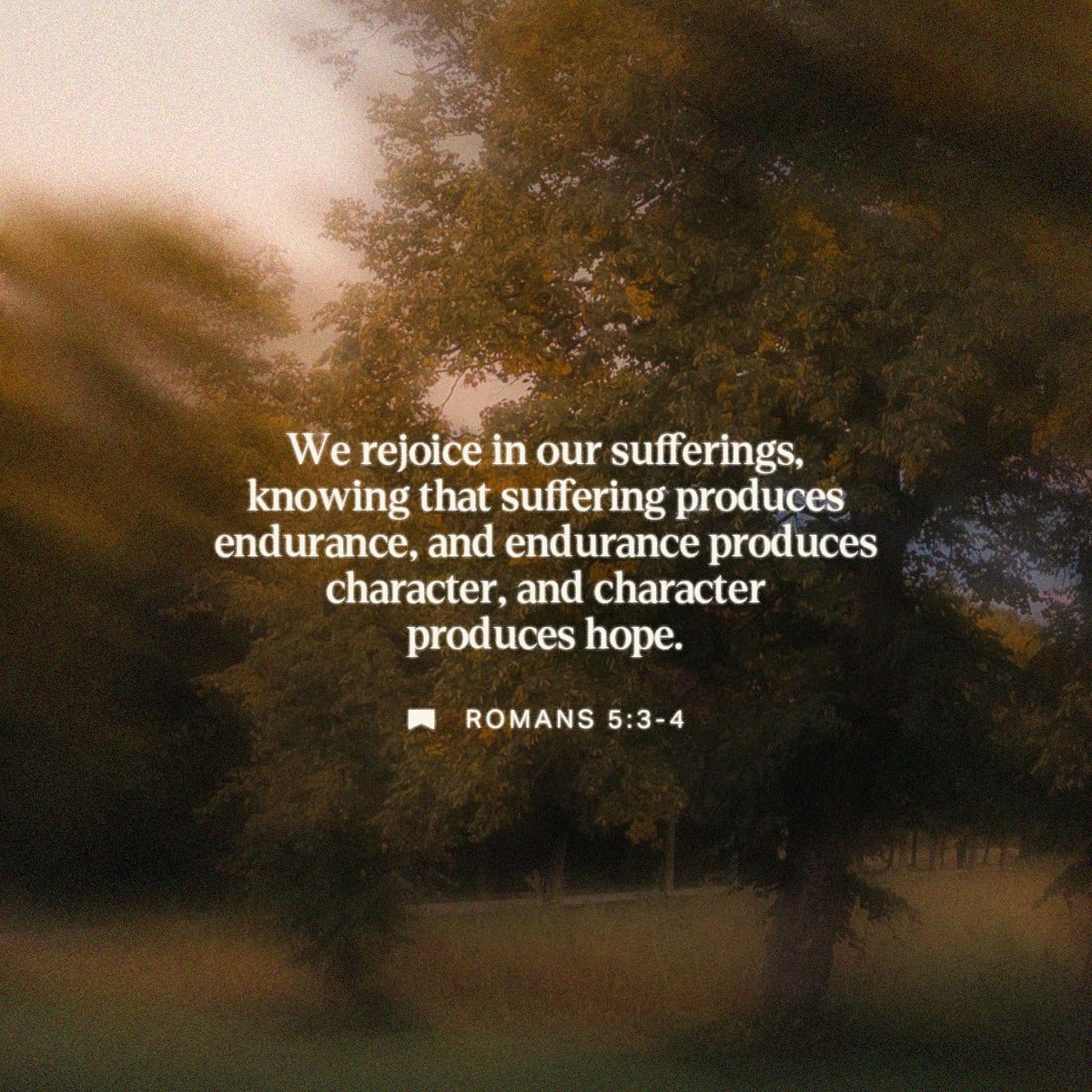 Jonathon | The Wellness Dad ✝️🧠🏋️🤟🏻 tweet media