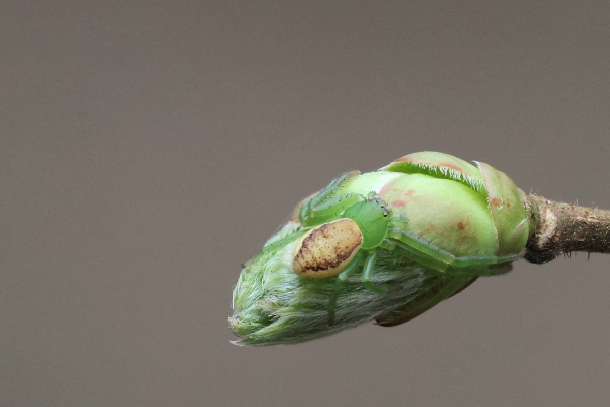 Sintija Valucka tweet media