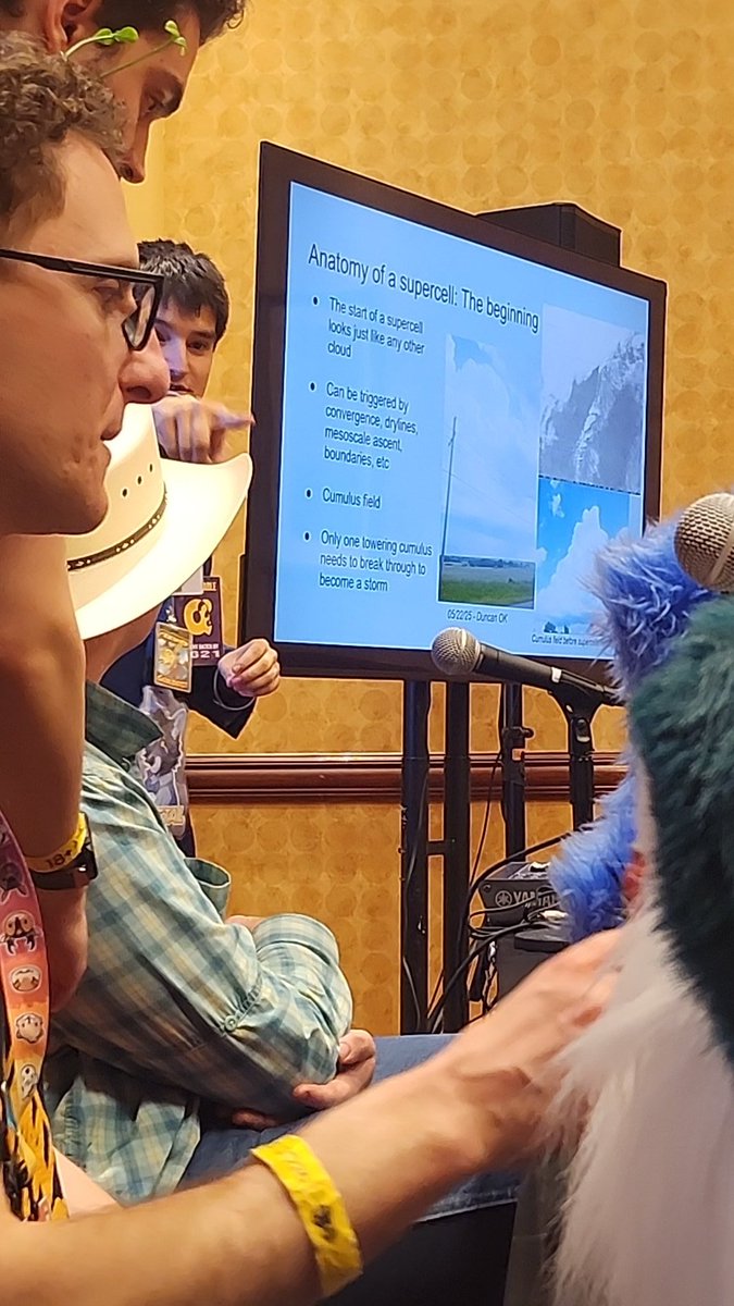 FallApollo ➡️ TFF🏕 tweet media