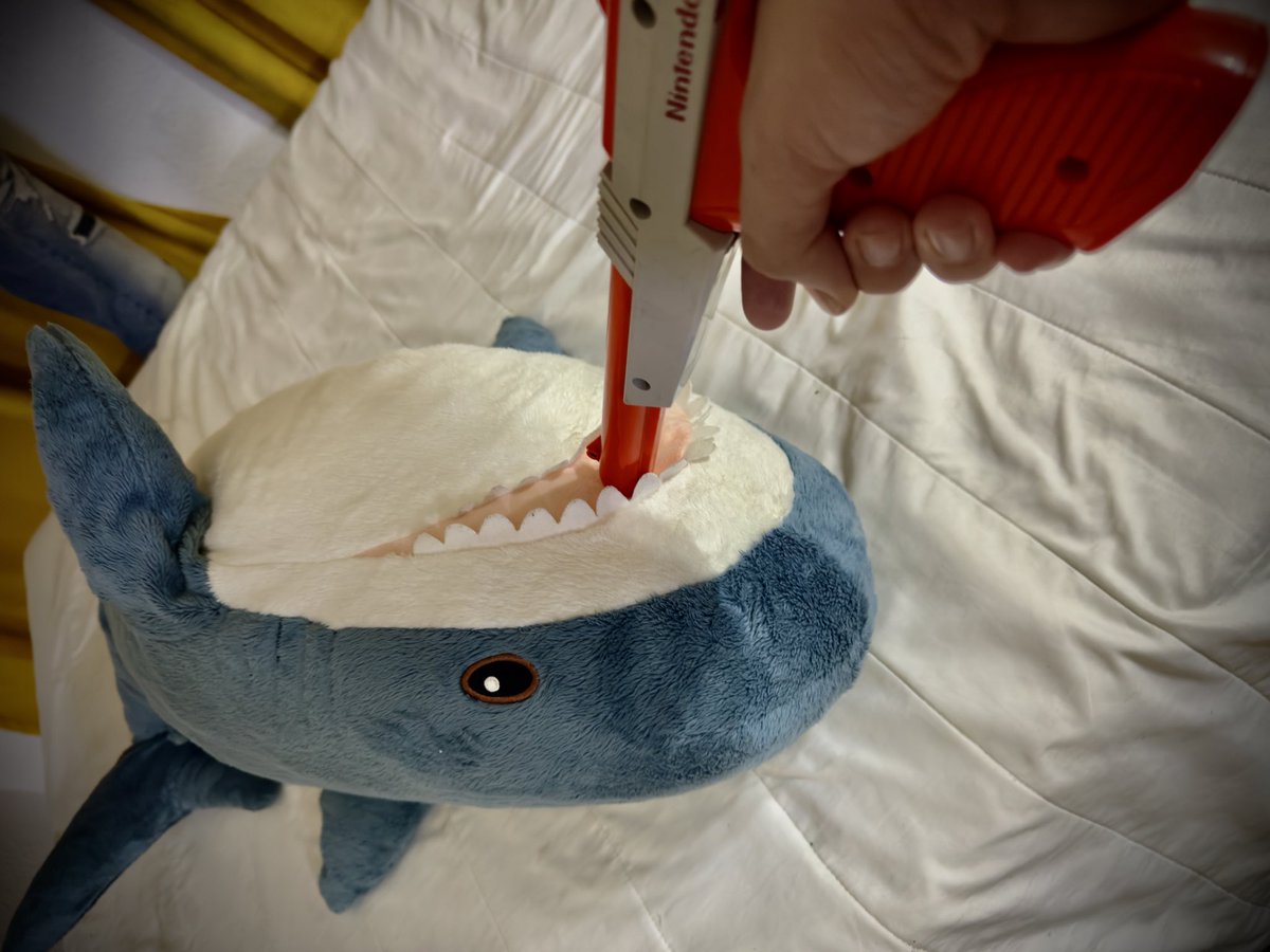lifninif's tweet photo. Lo siento mucho Blåhaj pero tu dueño cumplió 30 este mes así que sus días como #Femboy han terminado. 🦈💥🔫 https://t.co/O9XZBItub0