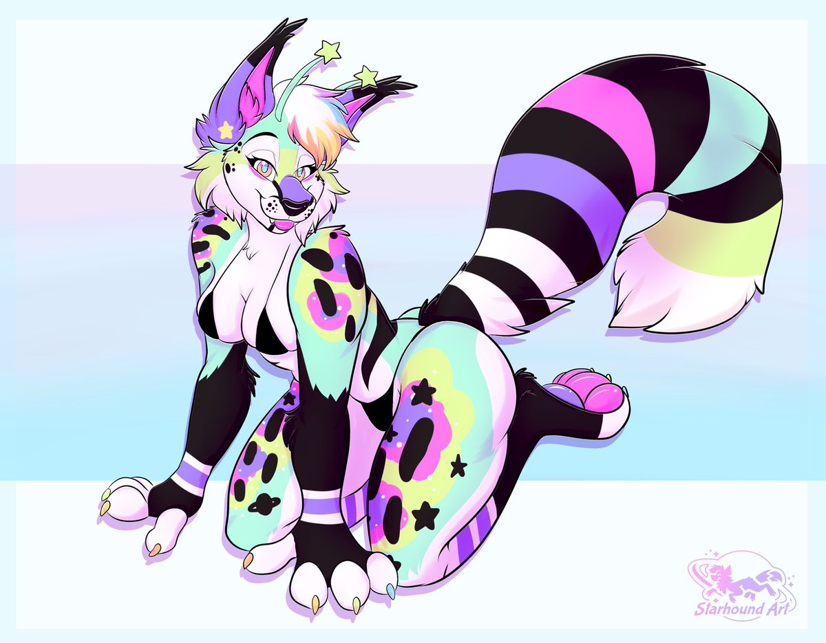 Nova Cat tweet media