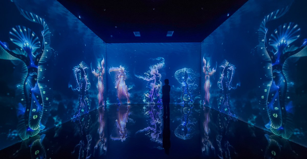 memoakten's tweet photo. Bay area friends! @KatieHofstadter &amp; I are very happy to share that SUPERRADIANCE is coming to you thx to @GrayAreaorg .
Opening tomorrow, + on Friday a spoken word performance + premiere of a brand new piece 'The Thinking Ocean' (more on that soon :)
https://t.co/F1TCu6uIwx https://t.co/jQkqvdu3IL