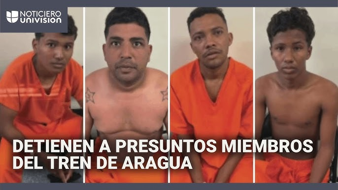 diciendo verdades tweet media