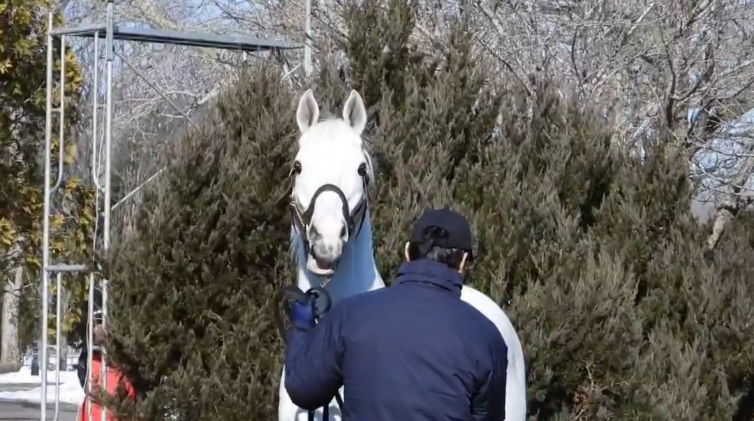 ichi 🌟 tweet media