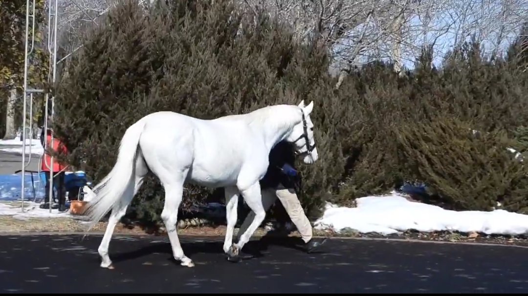 ichi 🌟 tweet media