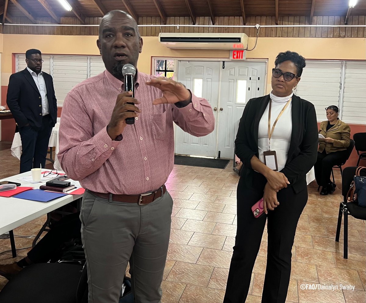 FAO in the Caribbean tweet media