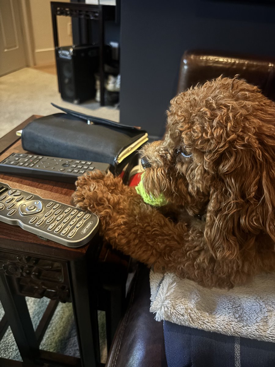 Ross Valory tweet media