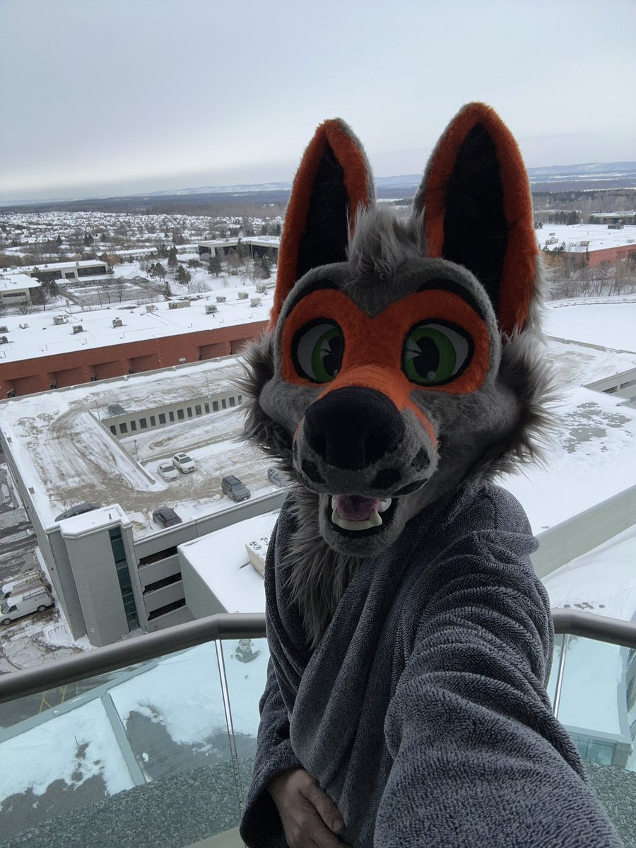 On a business trip having a nice view from my hotel room balcony bark