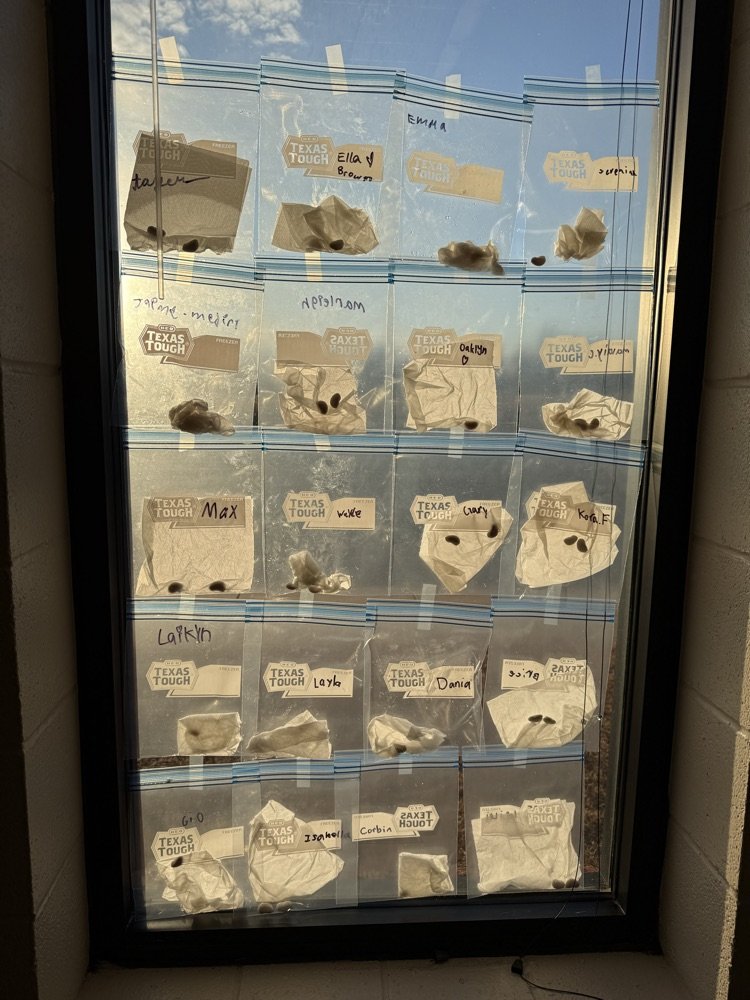 Robinson Elementary tweet media