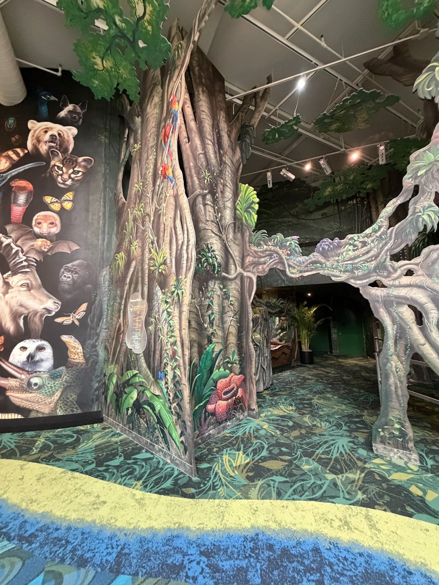 Evan Patel tweet media