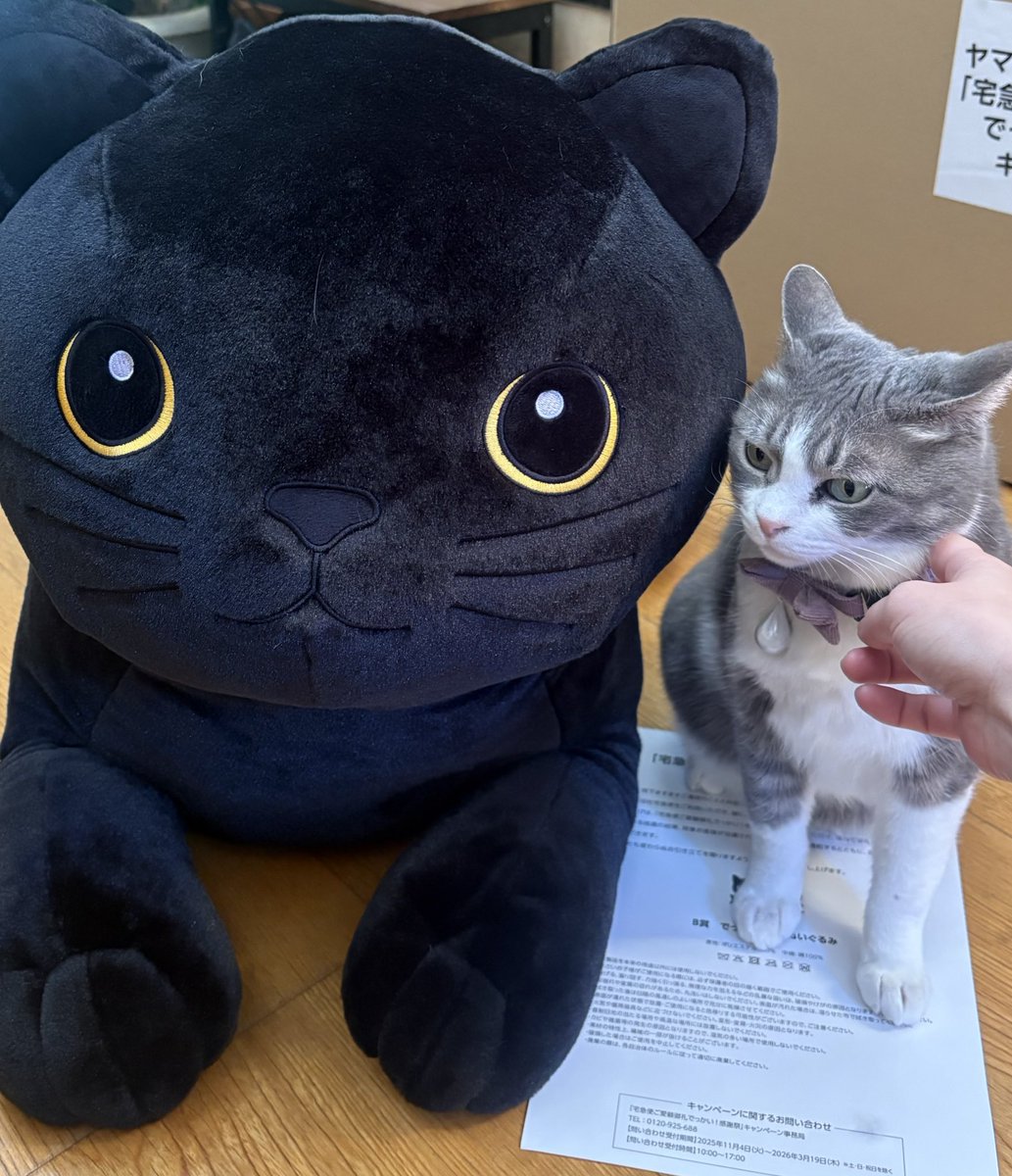 ヤマト運輸からでっかい感謝