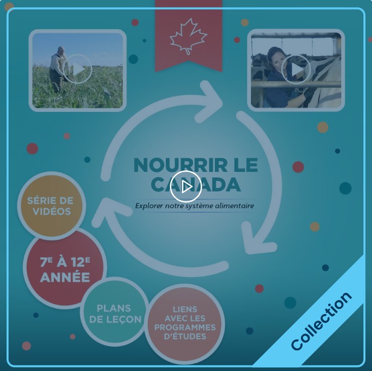 Le 10 février 2026 : Jour de l’agriculture canadienne.
Explorez le système alimentaire canadien grâce à la série de vidéos conçue pour les élèves de la 7e à la 12e année par les diététistes de l'Alberta des Producteurs laitiers du Canada
➡️ prairies.educationnutrition.ca/fr/materiels-e…