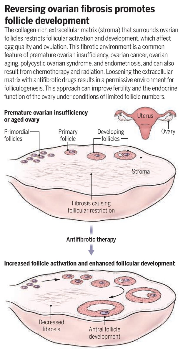 Science Magazine tweet media