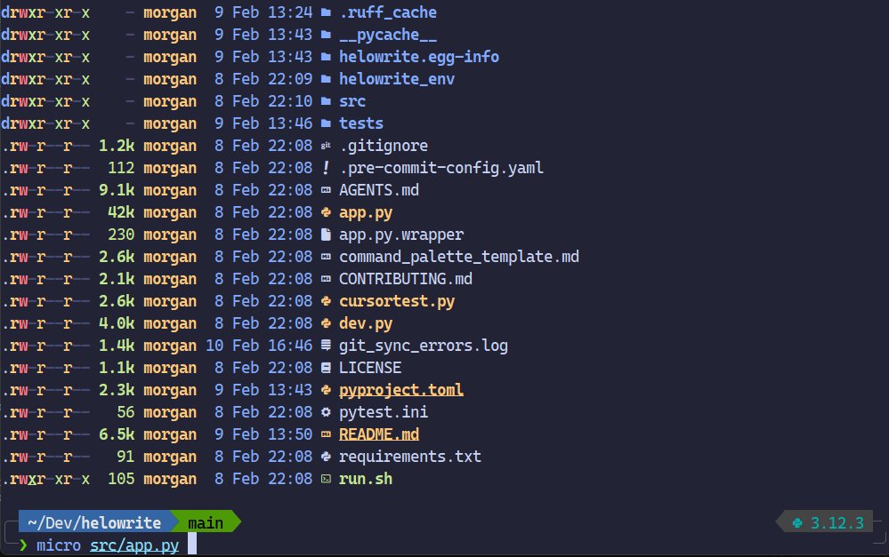 André Klein tweet media