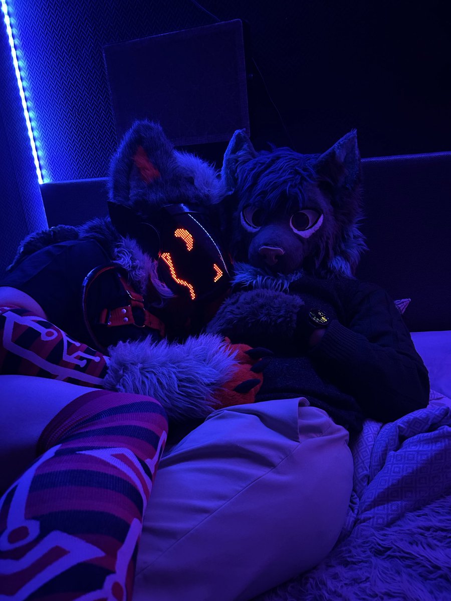 X-ray-The-Proot NFC🐾 tweet media