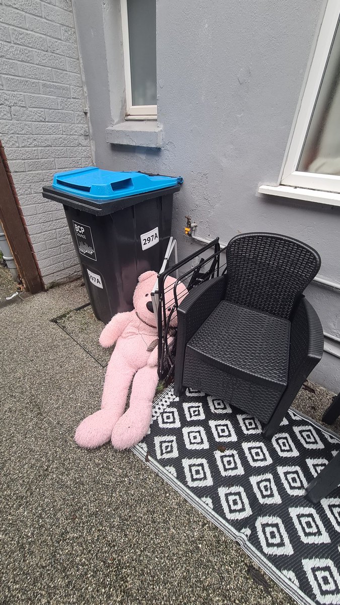 Dogknob1 tweet media