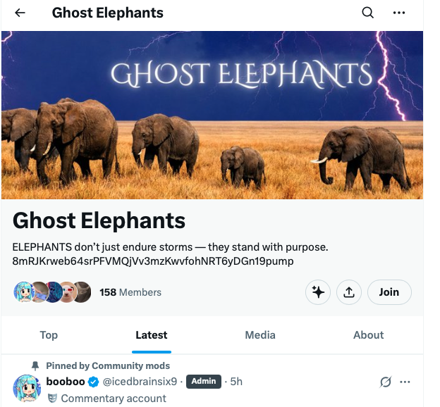 kurama 🦊 tweet media