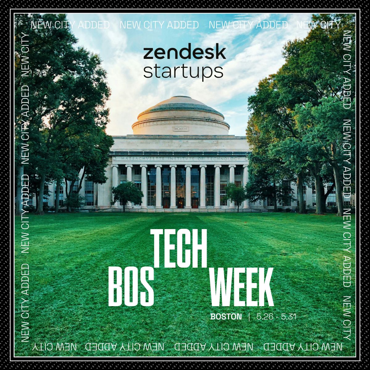 Anna Shchehula tweet media