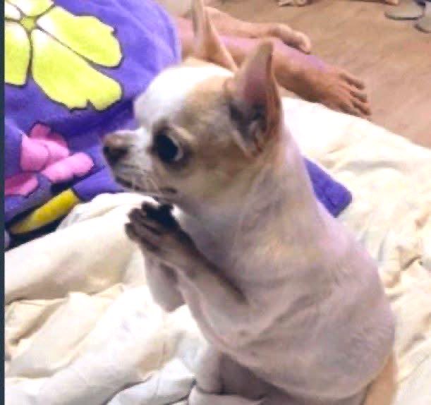 Waliyat ⊹ tweet media