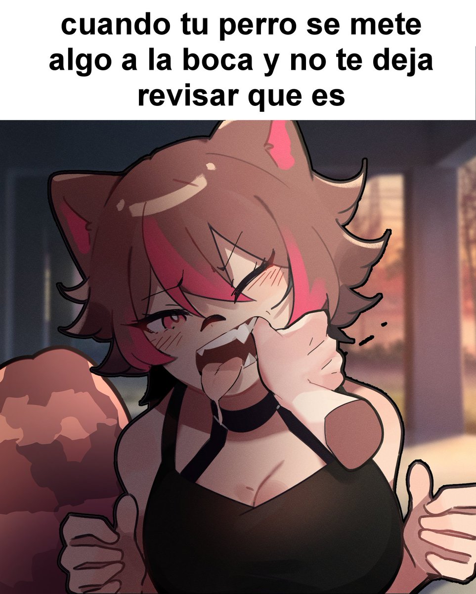 Rakkun 🦝🍀 tweet media