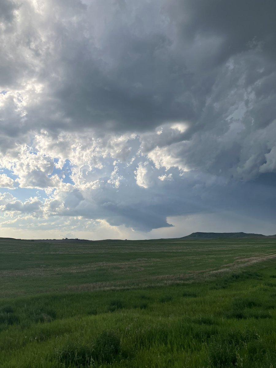 Alex Zielinski tweet media