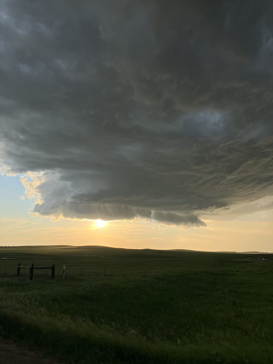 Alex Zielinski tweet media