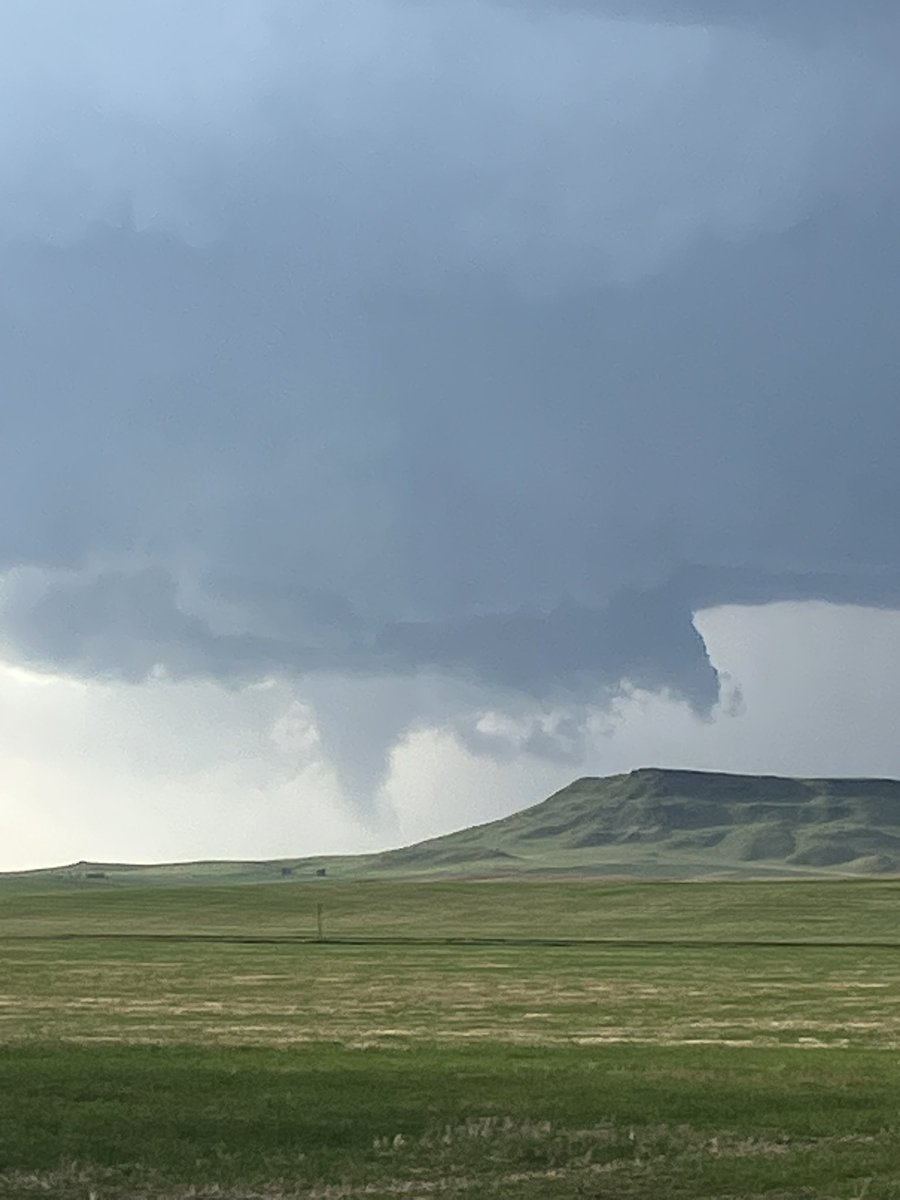 Alex Zielinski tweet media