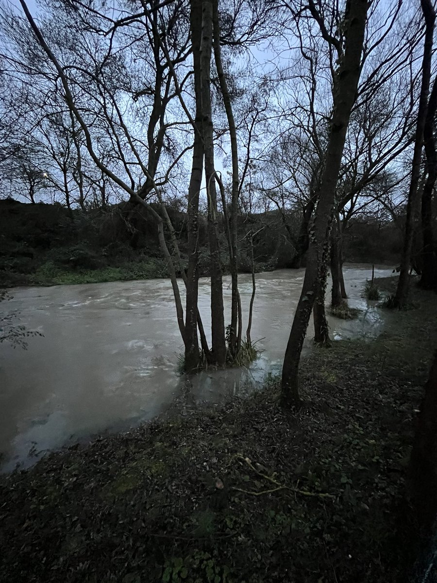 MatthieuSUBIRA's tweet photo. Crue de l’Ousseau, affluent du Touch à Tournefeuille.

Soyez prudents, la Haute-Garonne est en vigilance orange pour les crues et les inondations. https://t.co/xCZQWngQkv