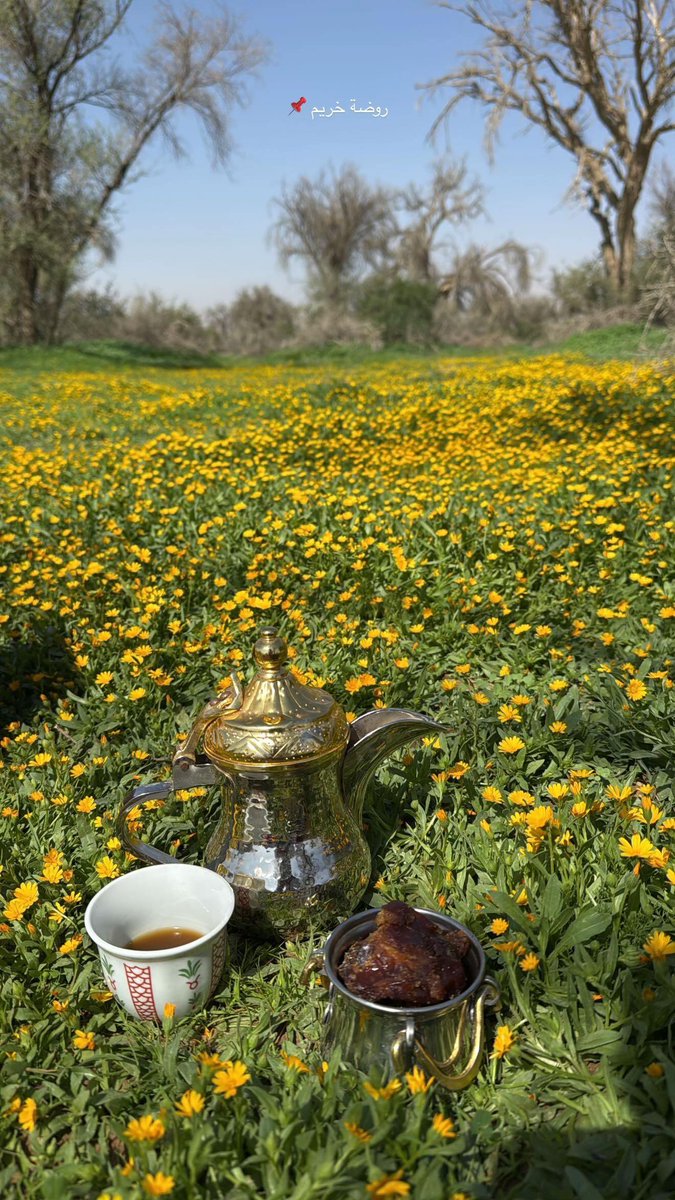 mmkotibi's tweet image. صور حديثة من روضة خريم . ماشاء الله في ابهى حلة 🌿🌿🌿🌼🌼🌼