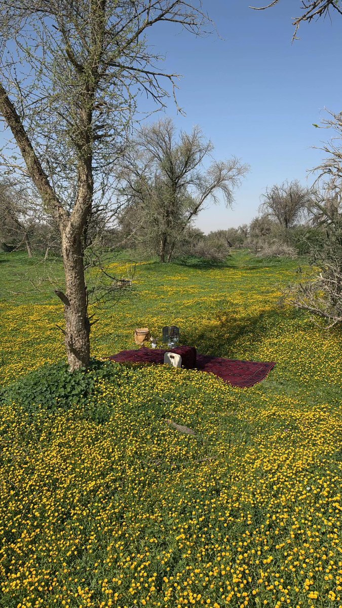 mmkotibi's tweet image. صور حديثة من روضة خريم . ماشاء الله في ابهى حلة 🌿🌿🌿🌼🌼🌼