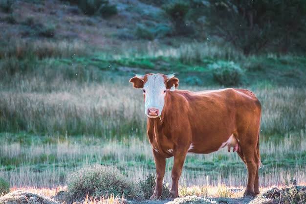 Tendencias tweet media