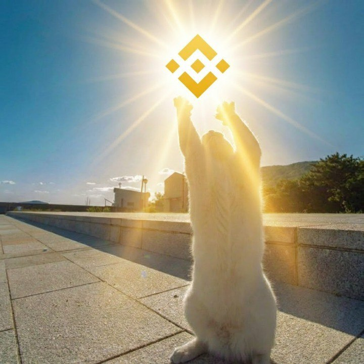 BNB_Hub's tweet photo. BNB TO THE _______? https://t.co/xMVXO2VPt1